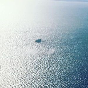 Meet your Posher, Douglas